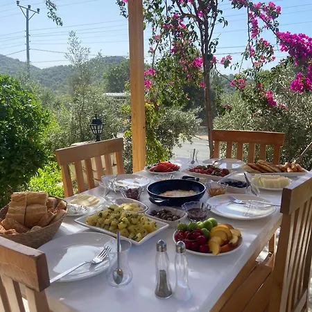 Oda ve Kahvaltı Anatolia Taş Ev Simena