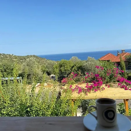 Bed & Breakfast Anatolia Tas Ev Simena Kapakli
